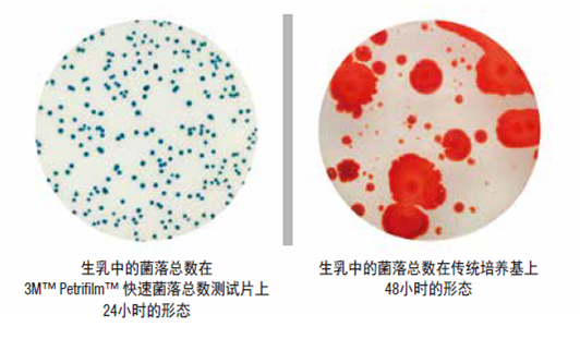 菌落總數 菌落總數
